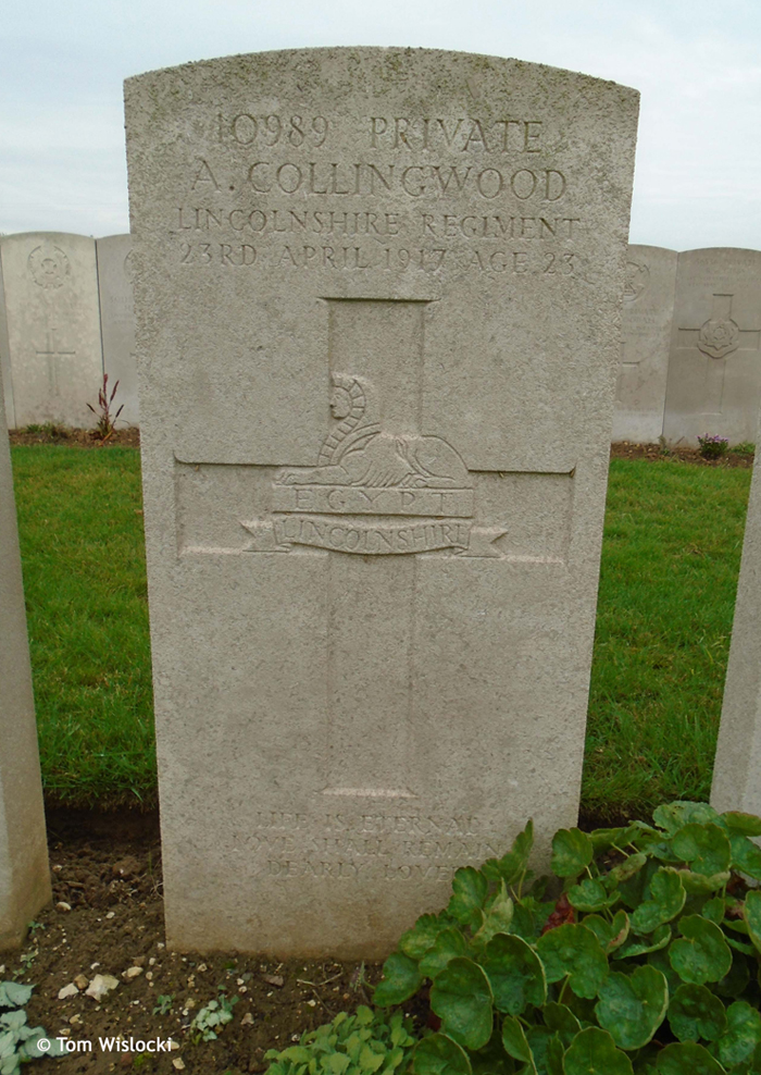 Private Arthur Collingwood (click for more details)